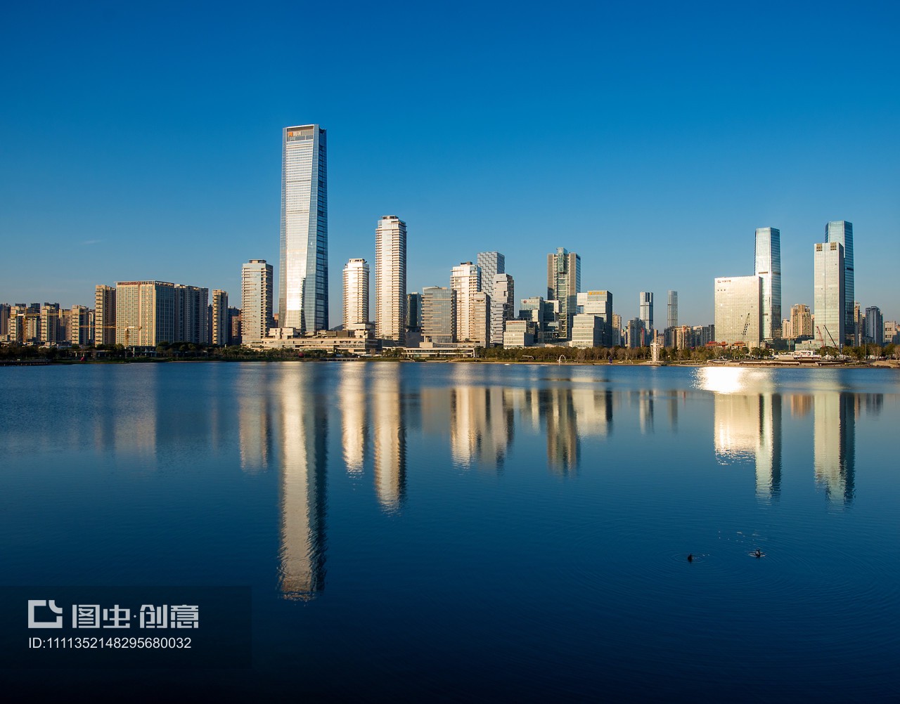 晨光中的深圳灣 后海天際線與城市發(fā)展交響曲
